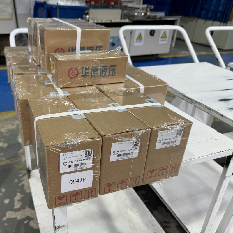 Huade Hydraulic poate oferi servicii de personalizare a ambalajelor de valve hidraulice diversificate